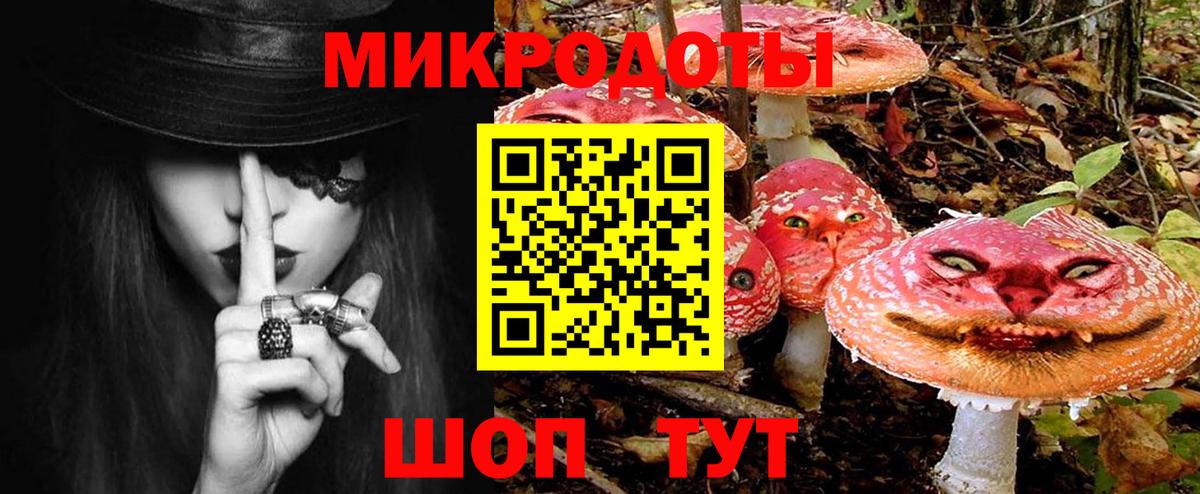 Туапсе  Псилоцибиновые грибы MAGIC MUSHROOMS  Вход с VPN  Галлюциногенные грибы Psilocybine cubensis 